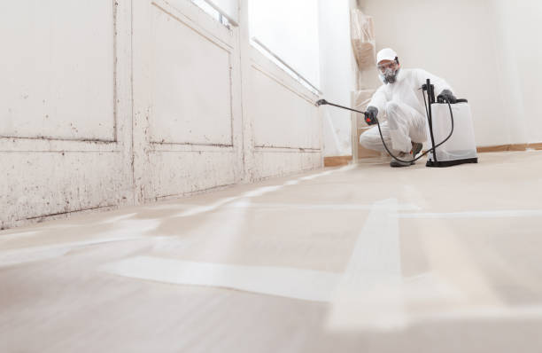 24/7 Emergency Mold Inspection experts in Paris, TX